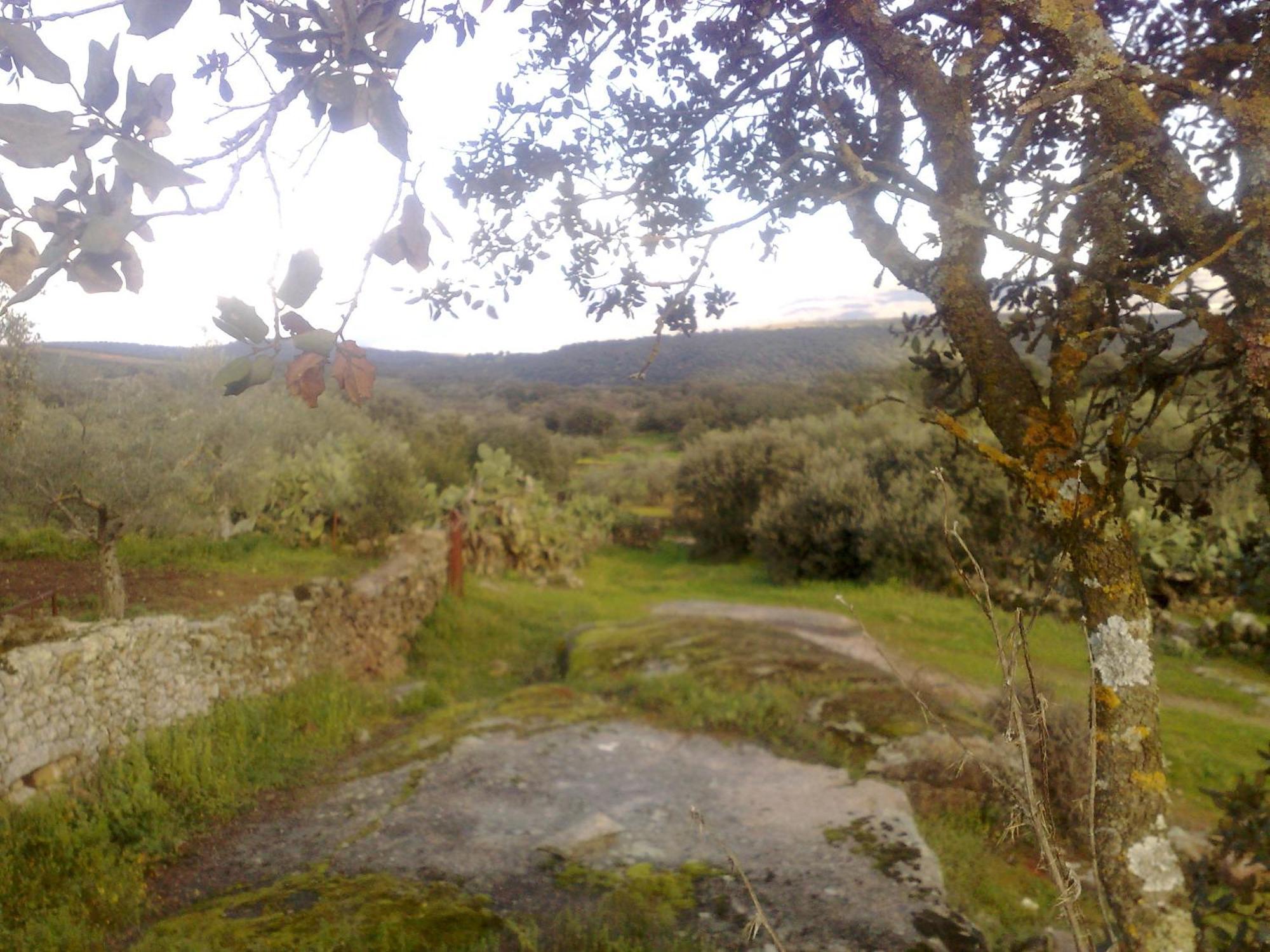 Apartamentos El Jardin Del Poeta Guijo de Granadilla Екстер'єр фото