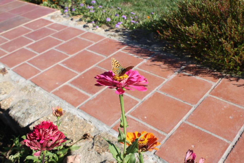 Apartamentos El Jardin Del Poeta Guijo de Granadilla Екстер'єр фото