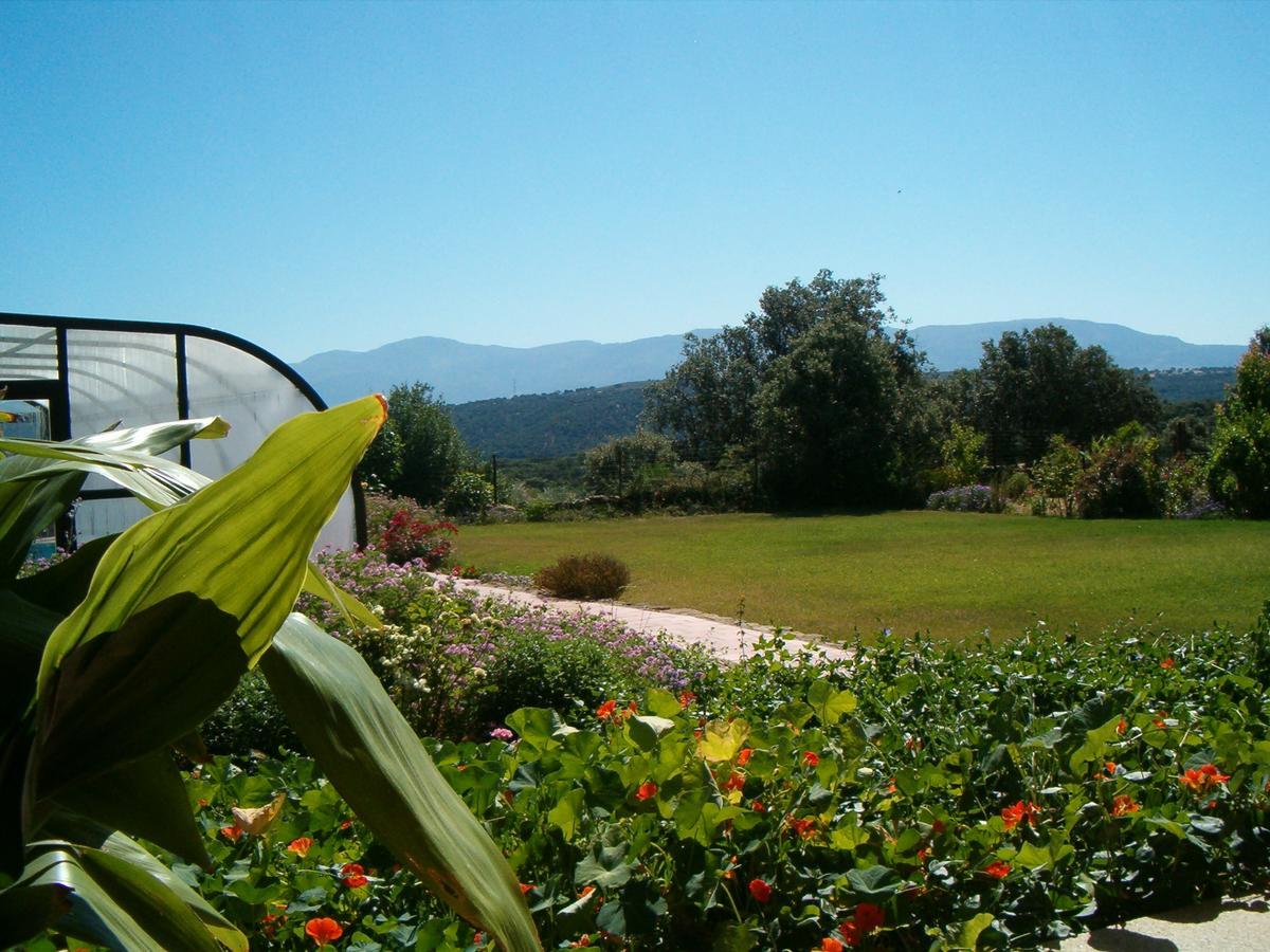 Apartamentos El Jardin Del Poeta Guijo de Granadilla Екстер'єр фото