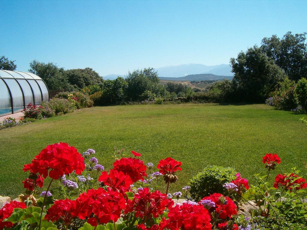 Apartamentos El Jardin Del Poeta Guijo de Granadilla Екстер'єр фото