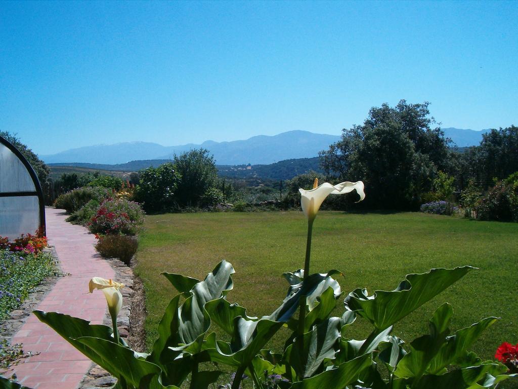 Apartamentos El Jardin Del Poeta Guijo de Granadilla Екстер'єр фото